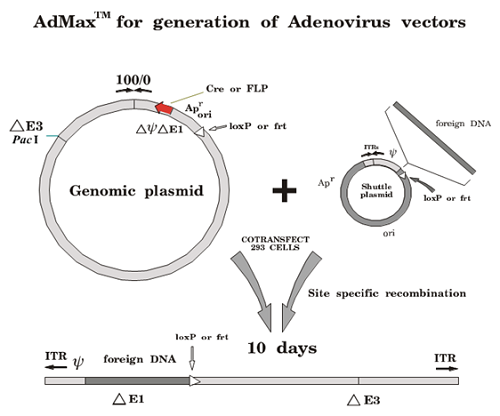 1455851568621677.png AdMAX系统重组过程示意图.png