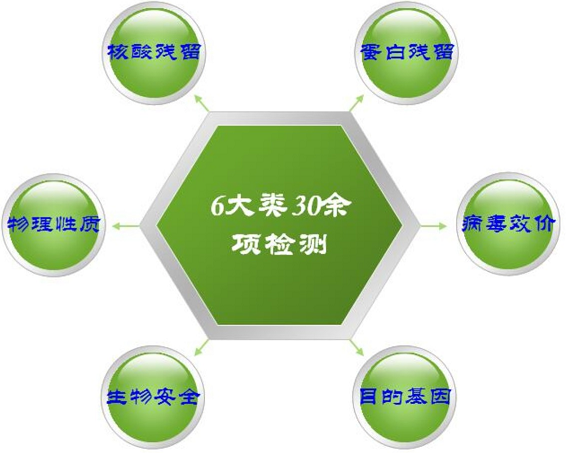 1456714161991868.png 6大类30余项检测.png