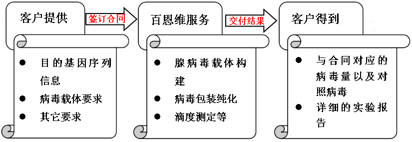 腺病毒服务流程.png
